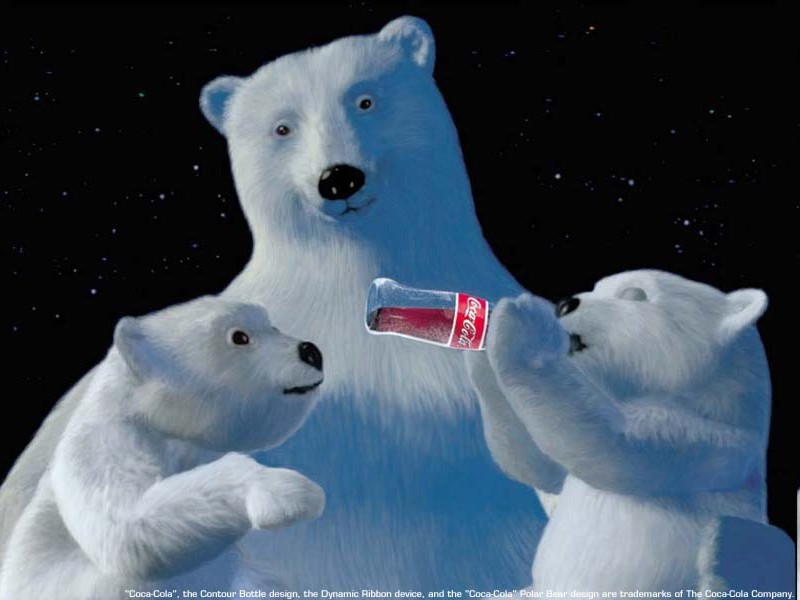 Um urso polar está em uma cena do filme urso polar.